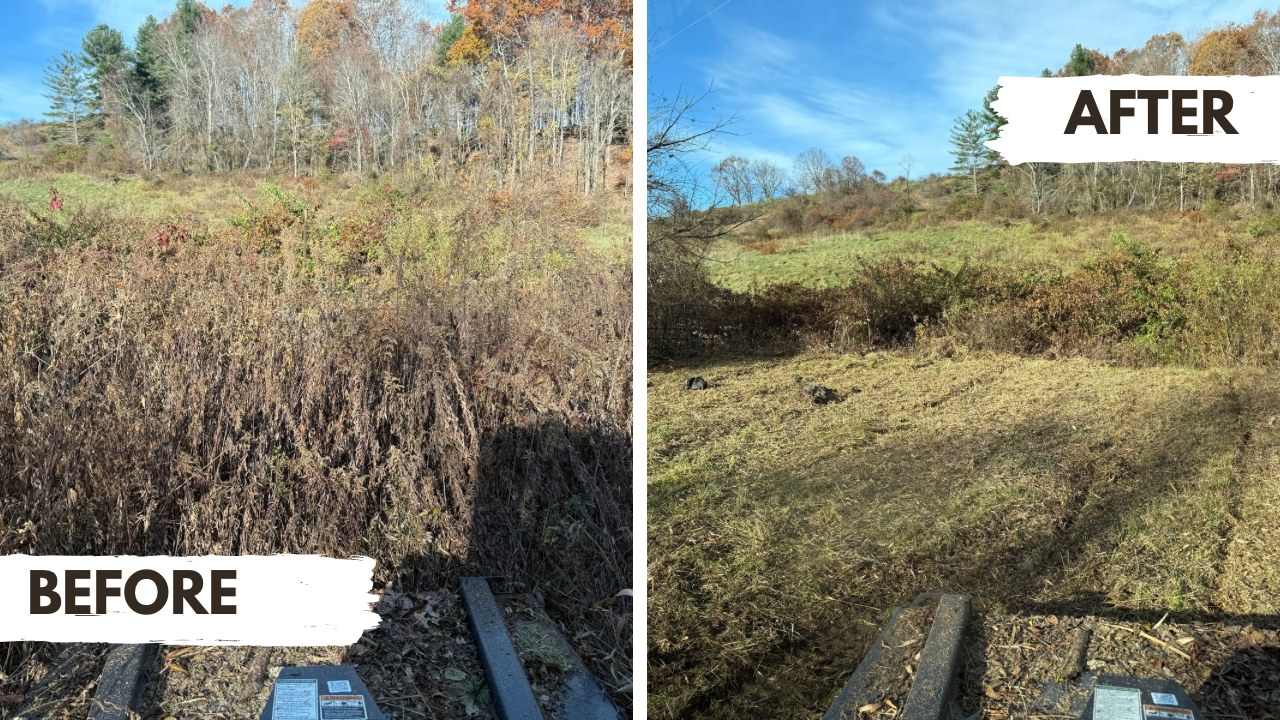 Before and after of a Cavalier Cleanup land-clearing job near Hillsville, VA: an overgrown, brushy hillside on the left cleared back to open, usable ground on the right