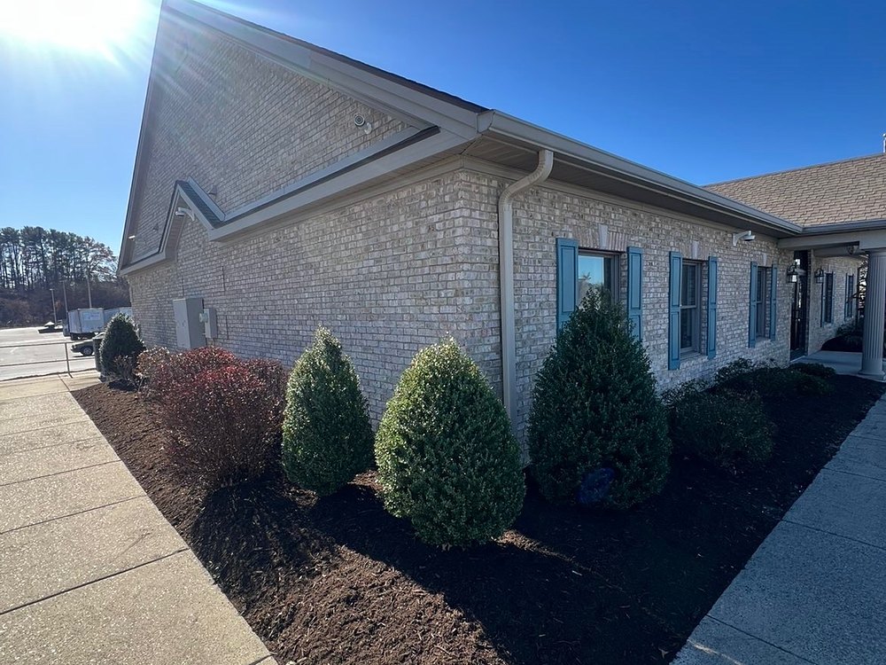 Fresh dark mulch and shaped evergreen shrubs along a commercial walkway by Cavalier Cleanup